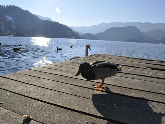 TakeMe2-卢布尔雅那必去景点