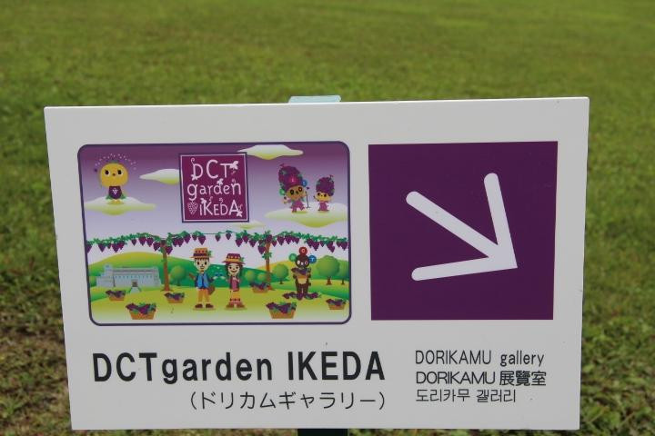 池田美梦成真博物馆-池田町必去景点