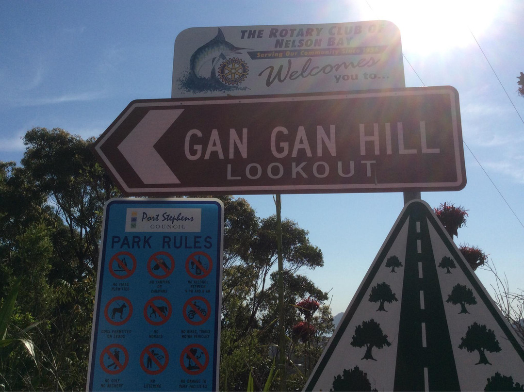 Gan Gan Lookout-尼尔森湾必去景点