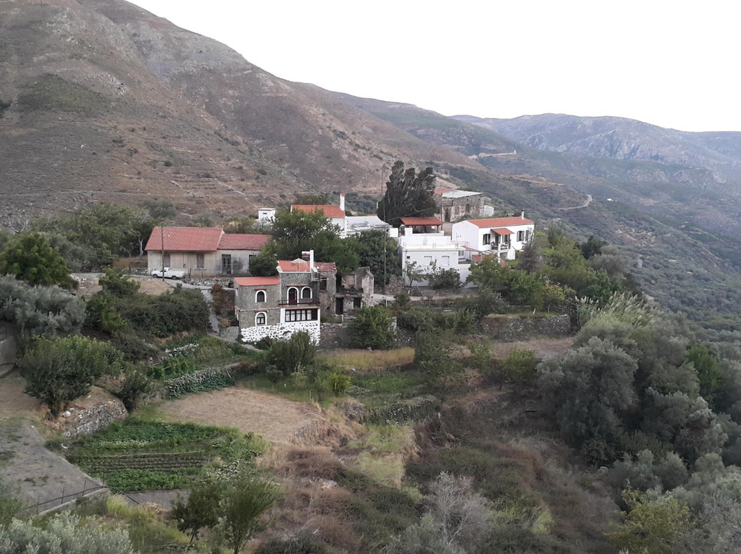 Panorama Apartment主图