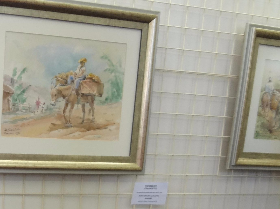 Museu Casa de Cariolato-Franca必去景点