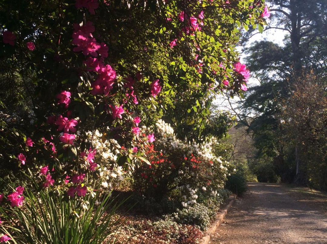 Wylie Park-彼得马里茨堡必去景点