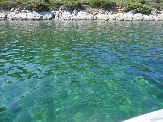 Port Conte Marina-阿尔盖罗必去景点