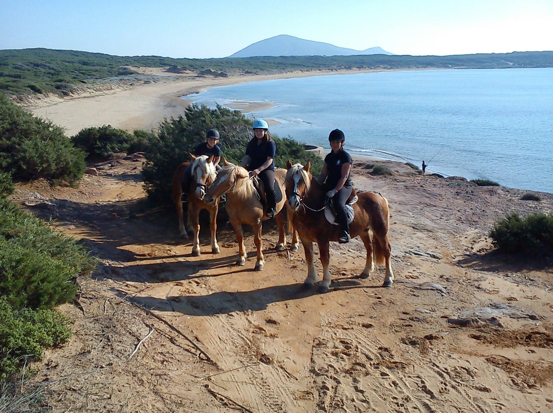 Agripark-阿尔盖罗必去景点