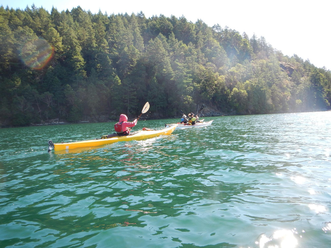 Wilderness Kayaking Co景点图片