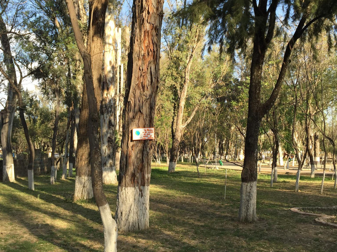 Parque La Costanera-塔里哈必去景点