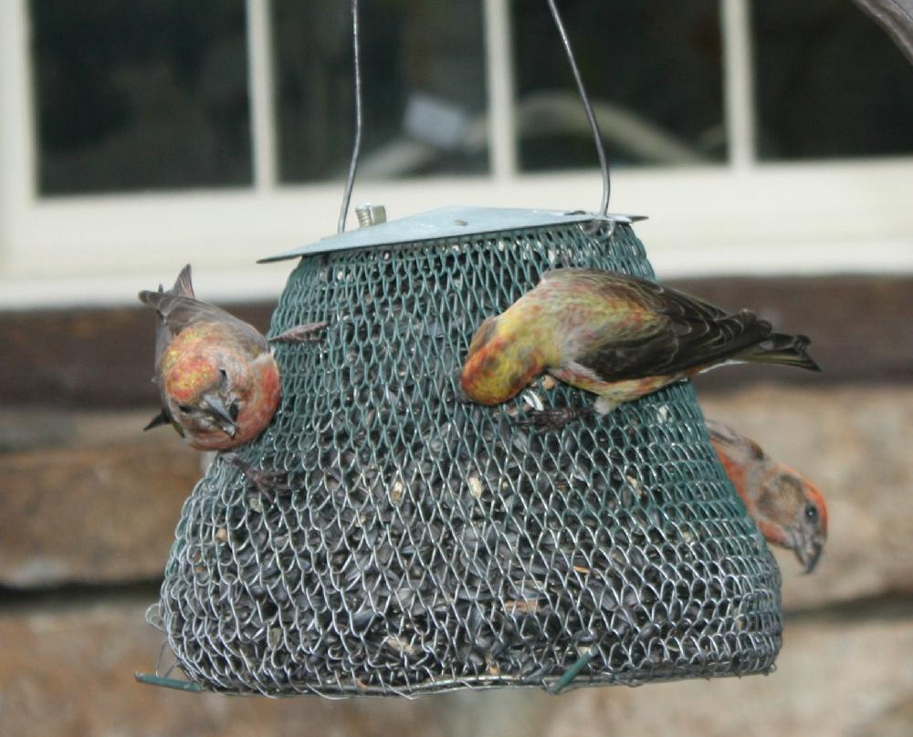 Peter Norbeck Outdoor Education Center-卡斯特必去景点