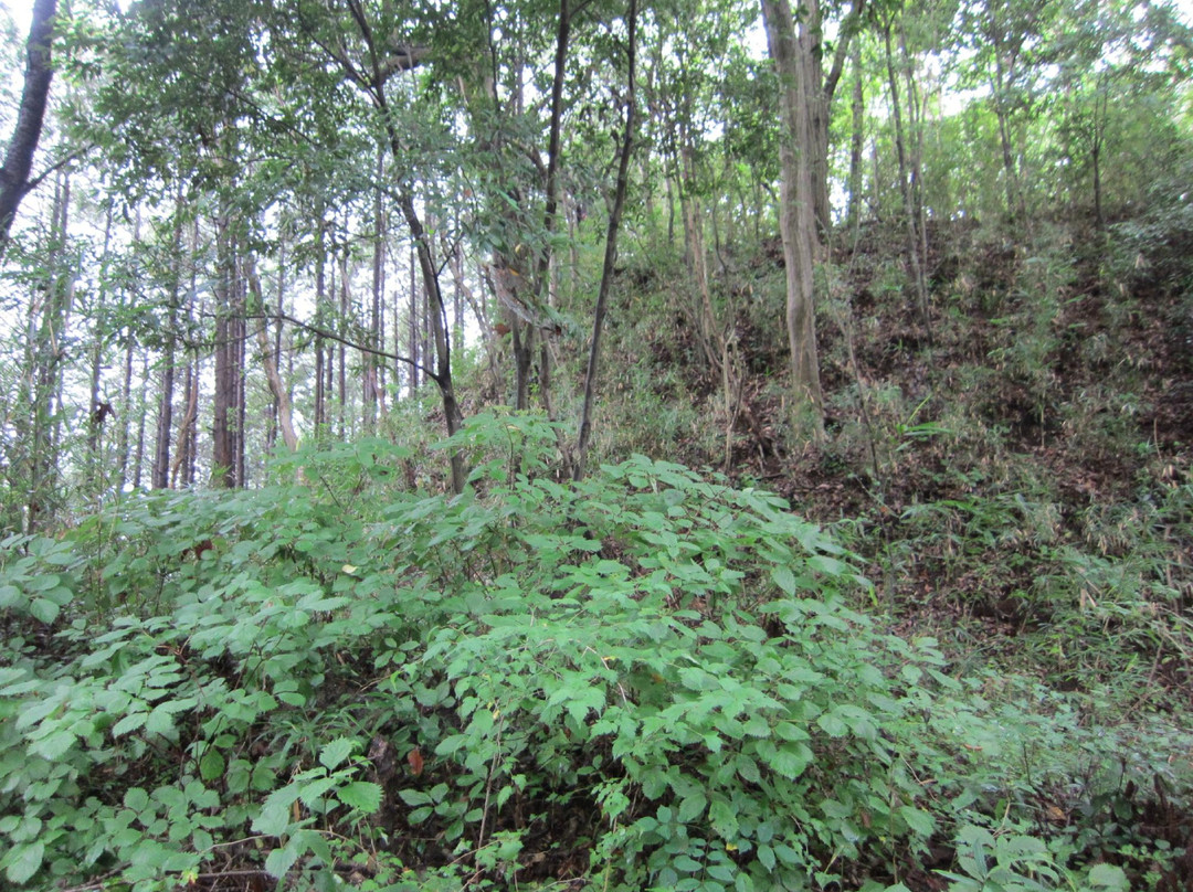 Saimyoji Castle Ruin景点图片