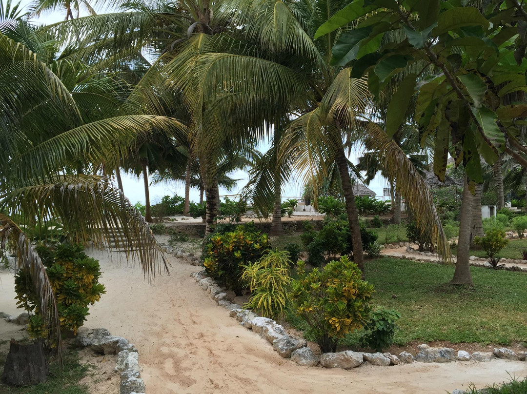 Mitende EasyAfrica Club主图