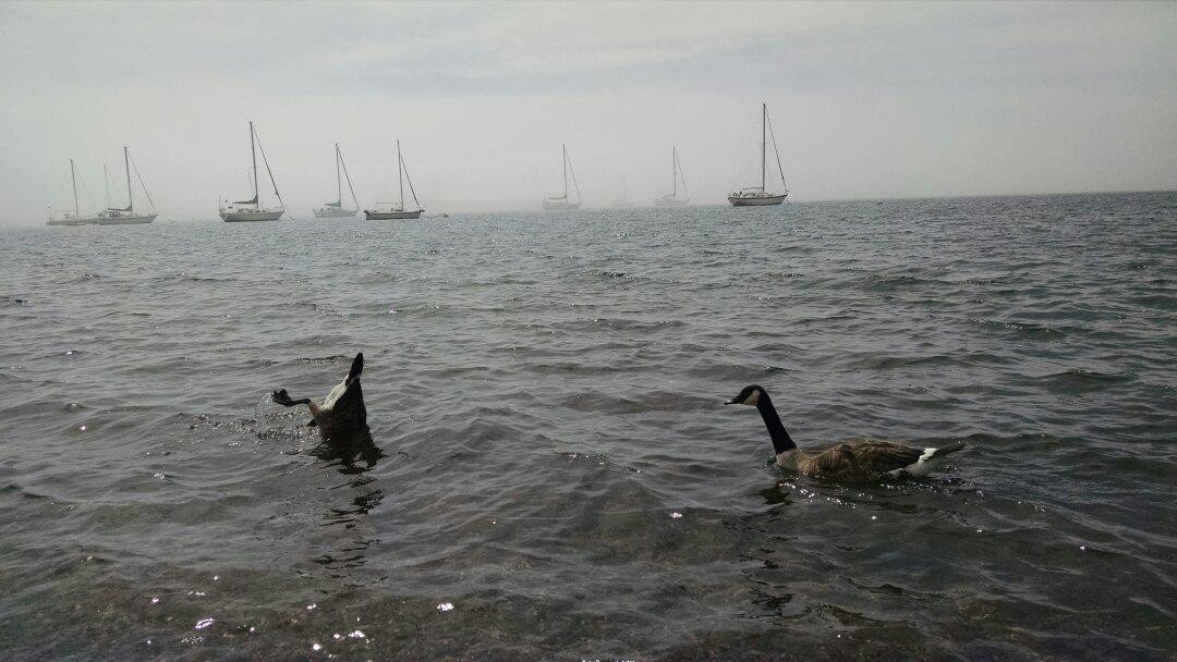 Artists' Point-大马雷必去景点