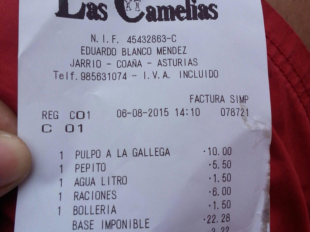 Hotel Restaurante Las Camelias主图