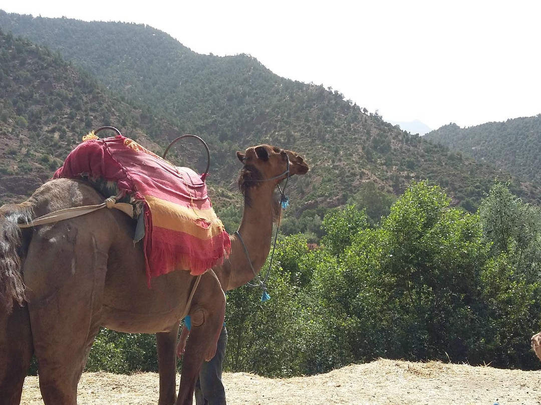 Great Travel Morocco-马拉喀什必去景点