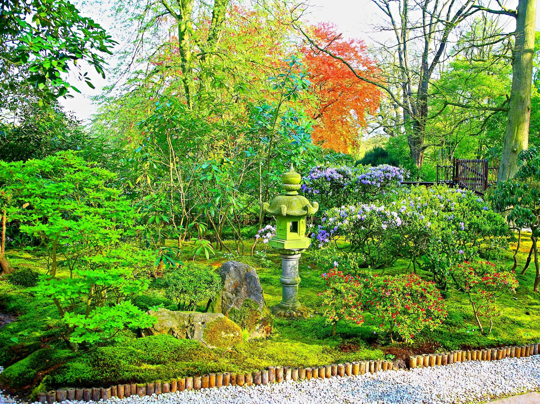 海牙日式花园景点图片