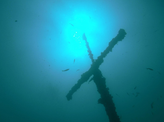 Mundo Submarino-韦拉克鲁斯必去景点