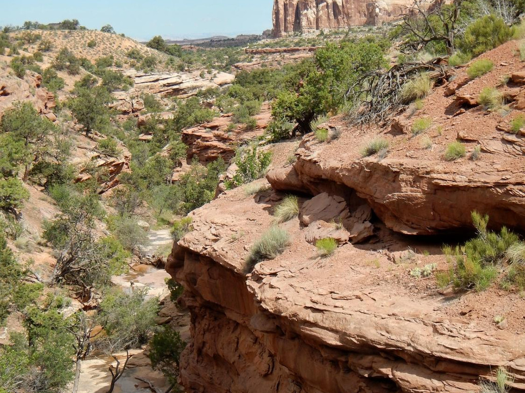 Neck Spring Trail-峡谷地国家公园必去景点