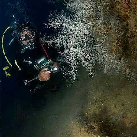 Scoglio di Formica景点图片