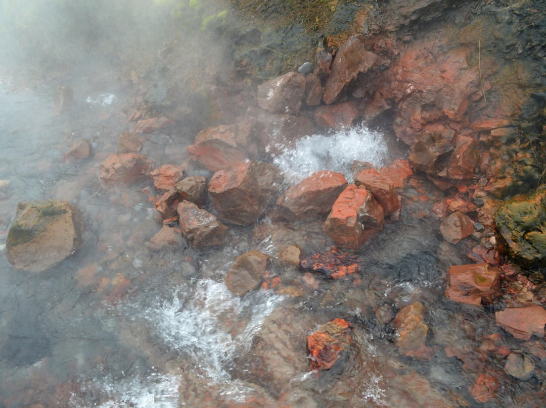 Deildartunguhver Thermal Spring景点图片