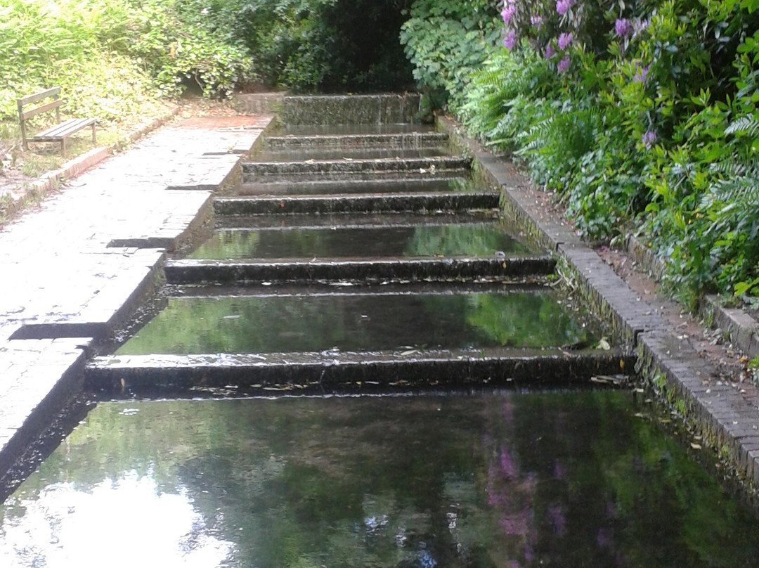 Baggeridge Country Park景点图片