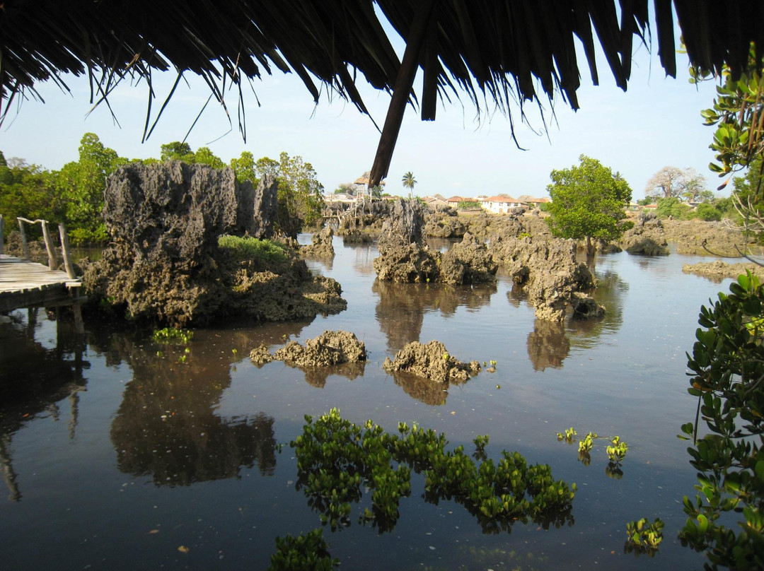 Wasini Mpunguti Lodge