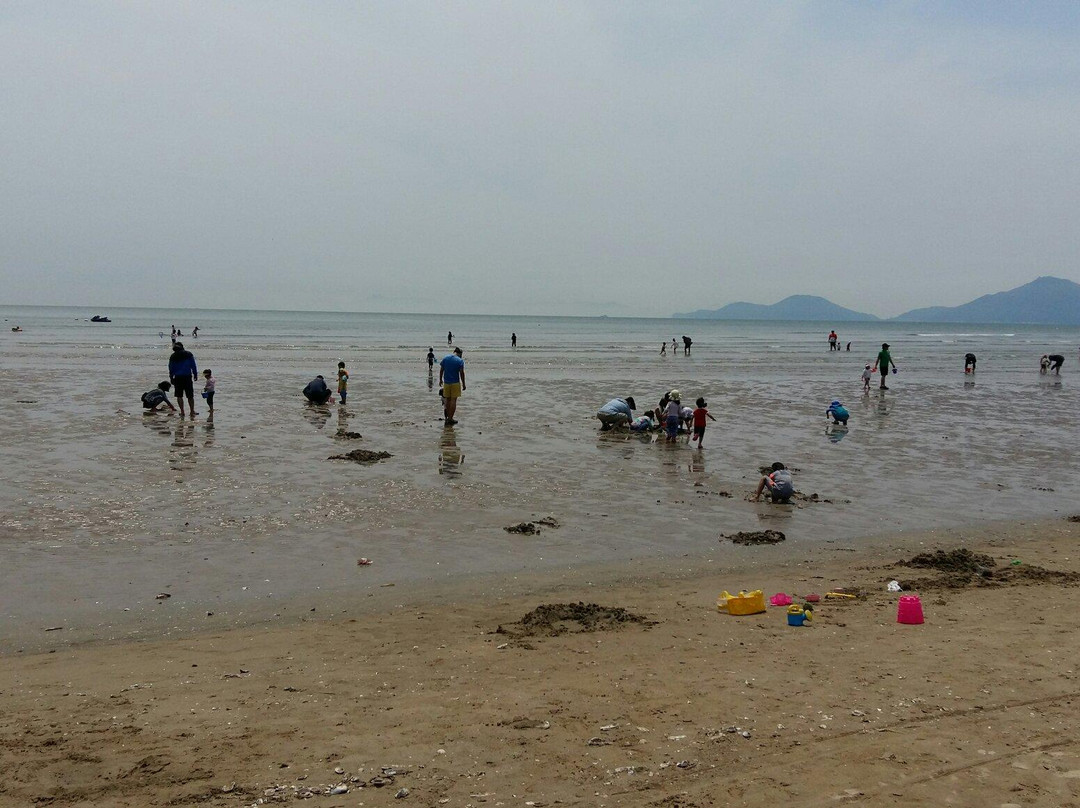 Dadaepo Beach-釜山必去景点