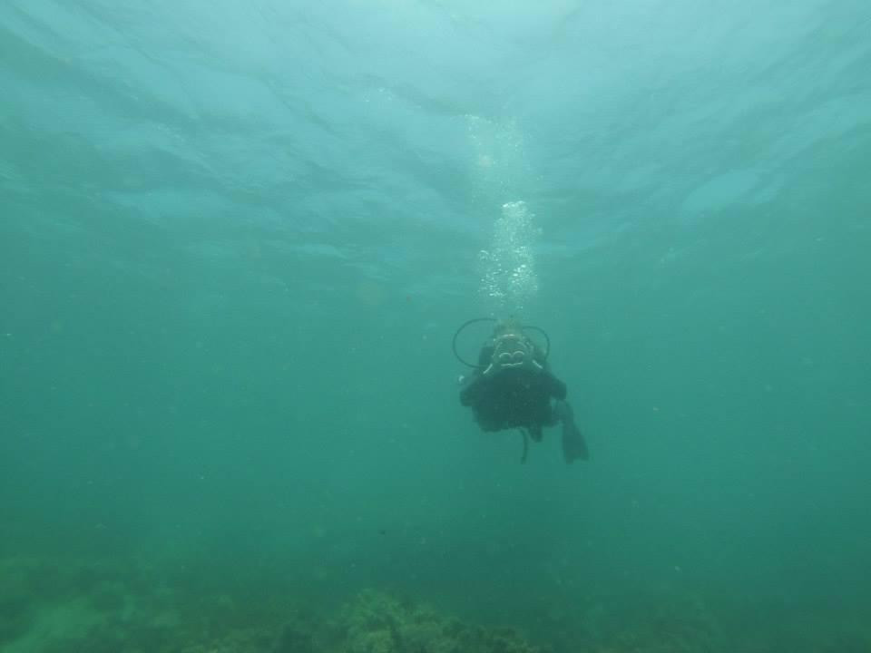 Dolphin Dive Fremantle-弗里曼特尔必去景点