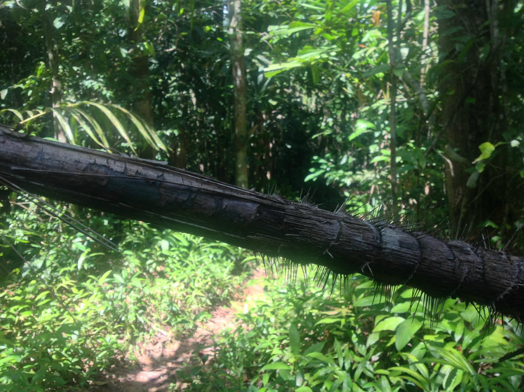 Khao Rearub-阁骨岛必去景点