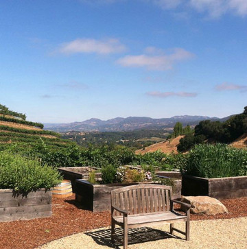 Nor Cal Car Service-纳帕必去景点