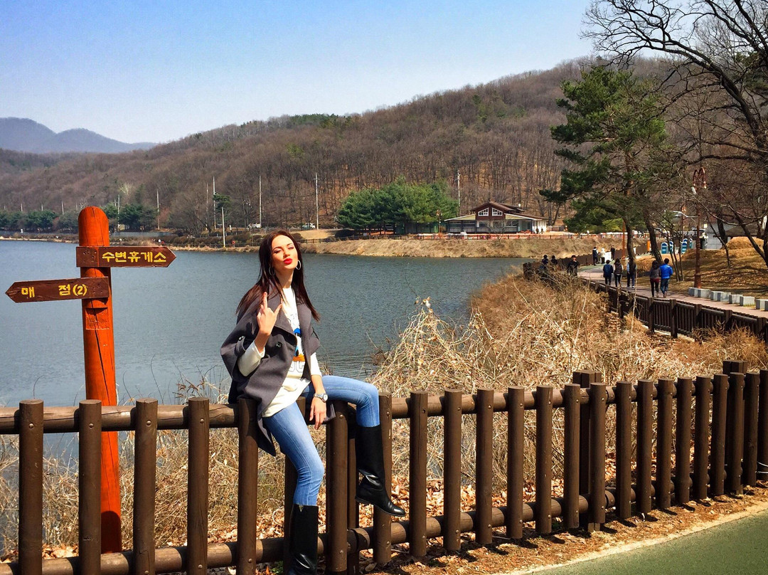 Book Theme Park-城南市必去景点