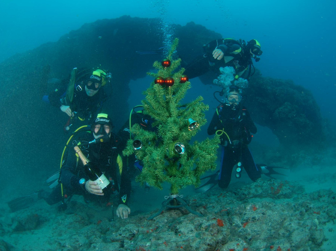 DIVE-MAN Tenerife-拉斯加勒塔斯必去景点