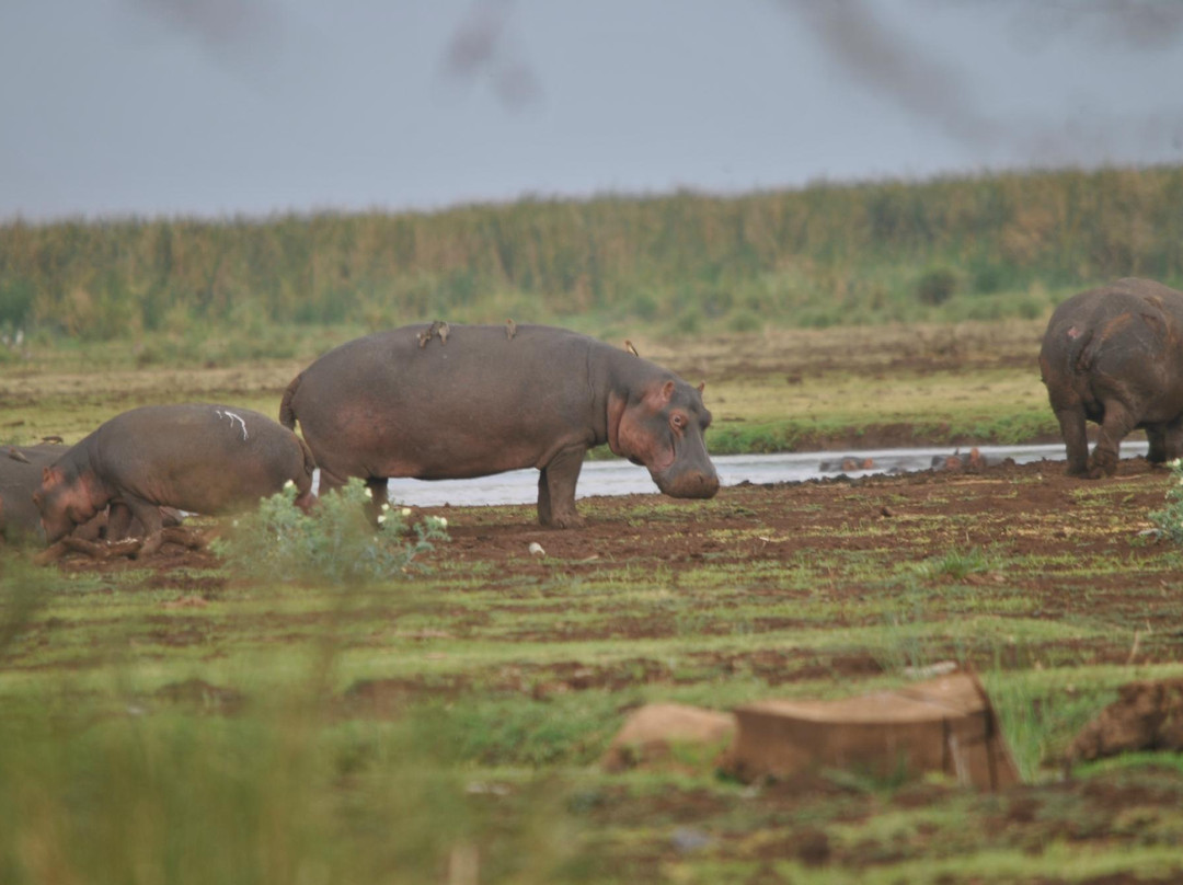 Oltepesi African Adventures-莫西必去景点