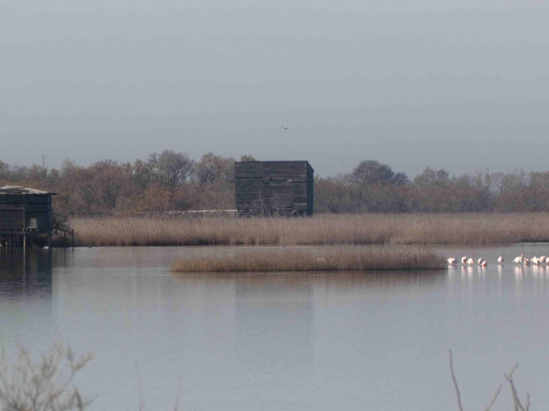 La Maison du Guide de Camargue-Montcalm必去景点