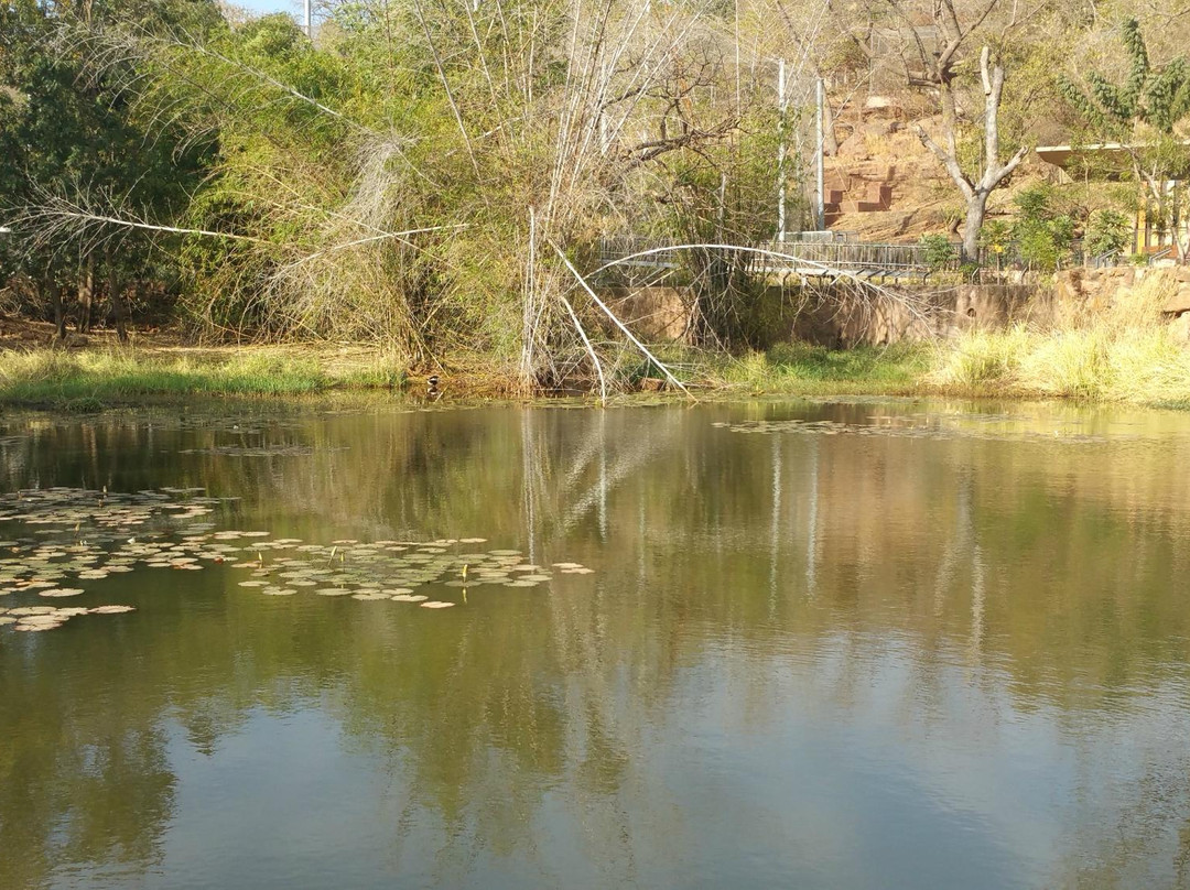 Parc national du Mali, Bamako-巴马科必去景点