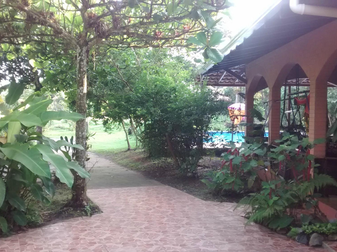 Eco Hostel Residencial Bananeiras