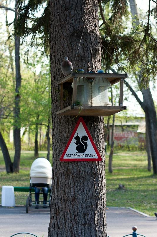 Emerald Park of Culture and Leisure-Barnaul必去景点