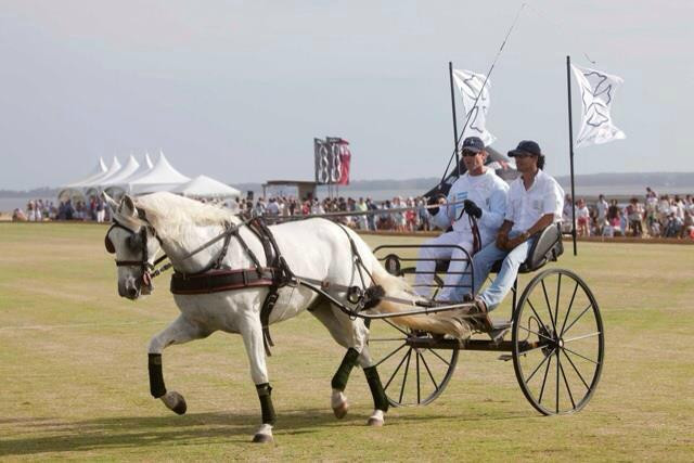 Haras Godiva-Jose Ignacio必去景点