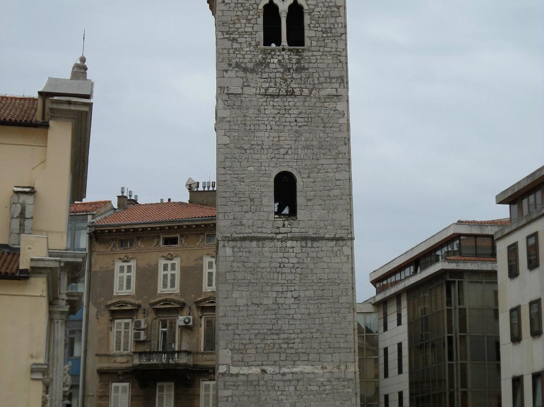 Saint Mary of the Assumption Church景点图片