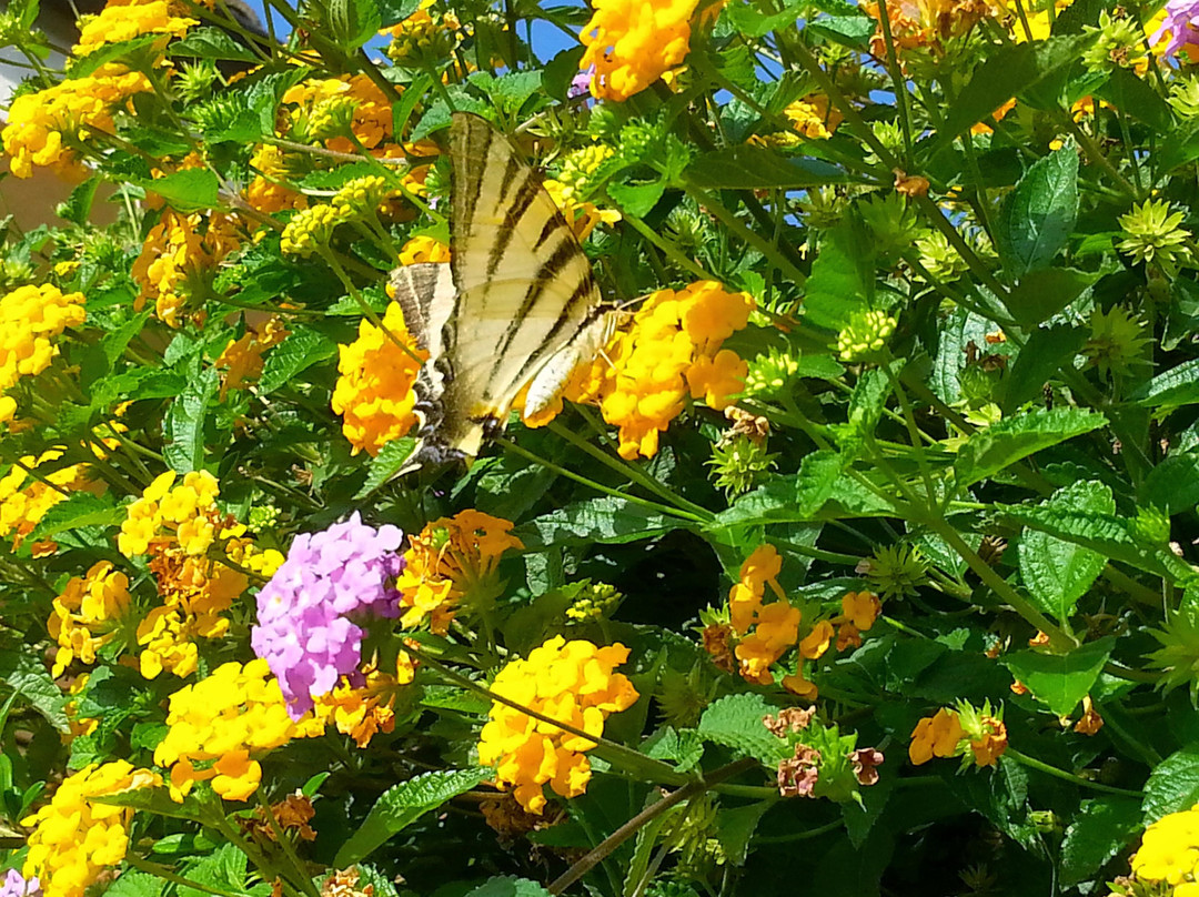 A Casa Di Nonna Gisa-莫迪卡必去景点