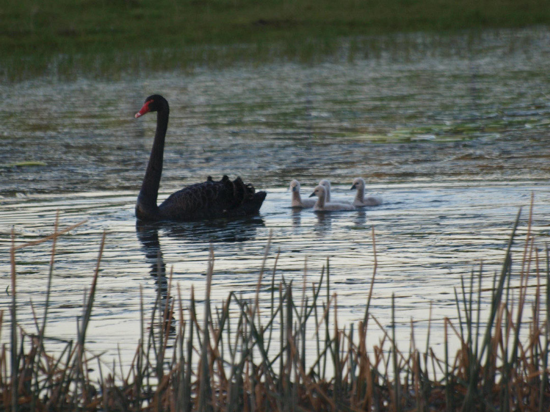 Pierrepoint Wines-Tarrington必去景点