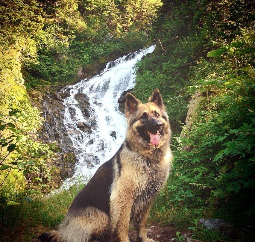 Perseverance National Recreation Trail-朱诺必去景点