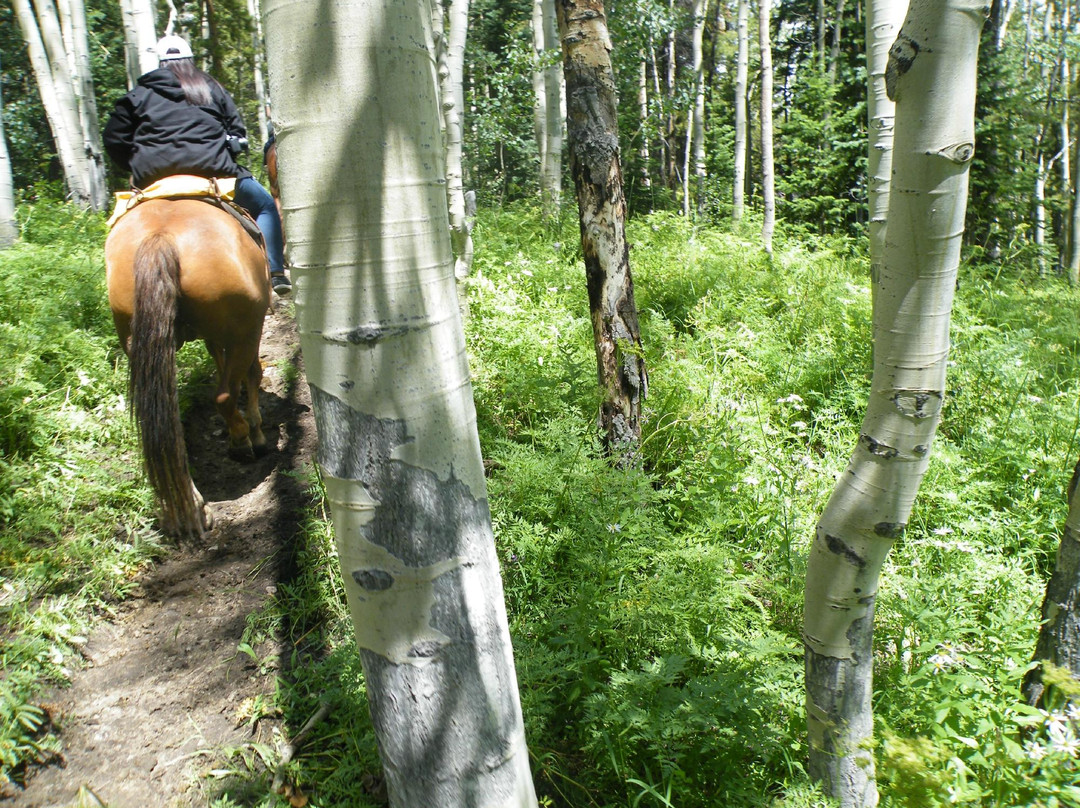 Fantasy Ranch Outfitters-克雷斯特德比特必去景点