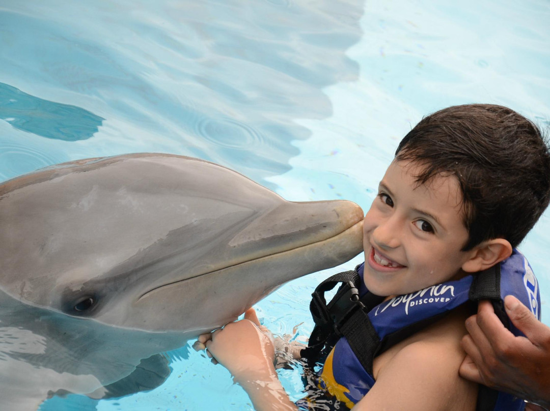 Dolphin Discovery-墨西哥城必去景点