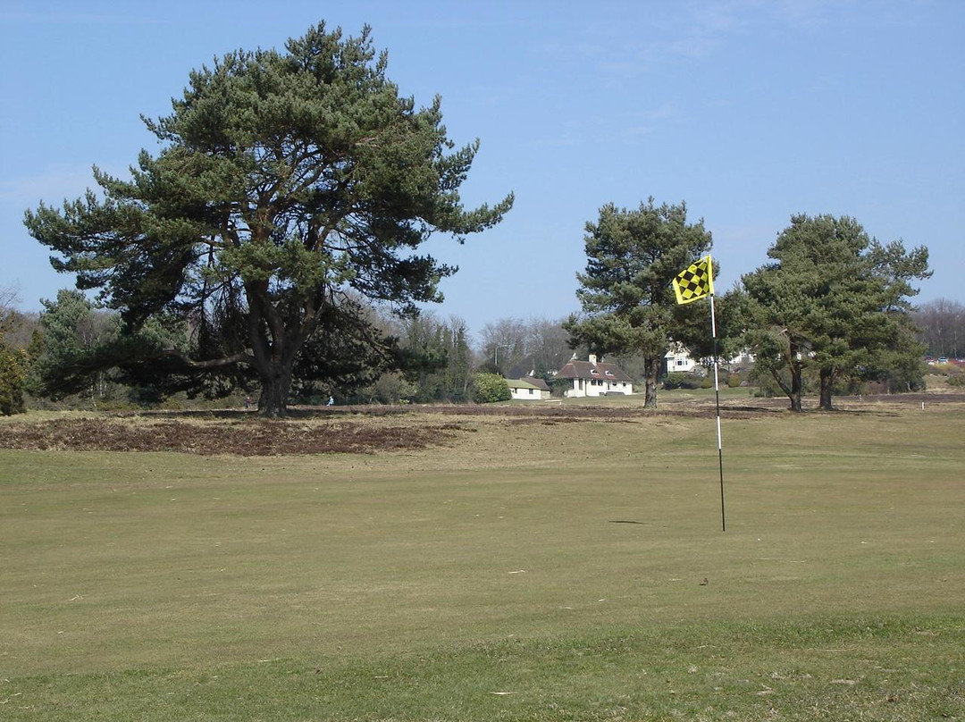 Crowborough Beacon Golf Club景点图片