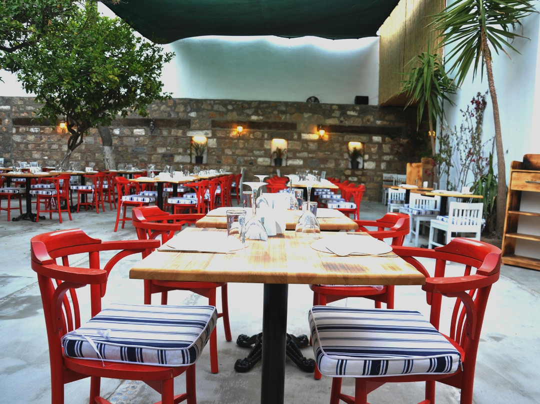 达格贝伦餐馆和美食-Barba Bodrum