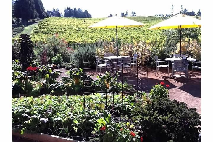 Lynmar Estate Winery景点图片