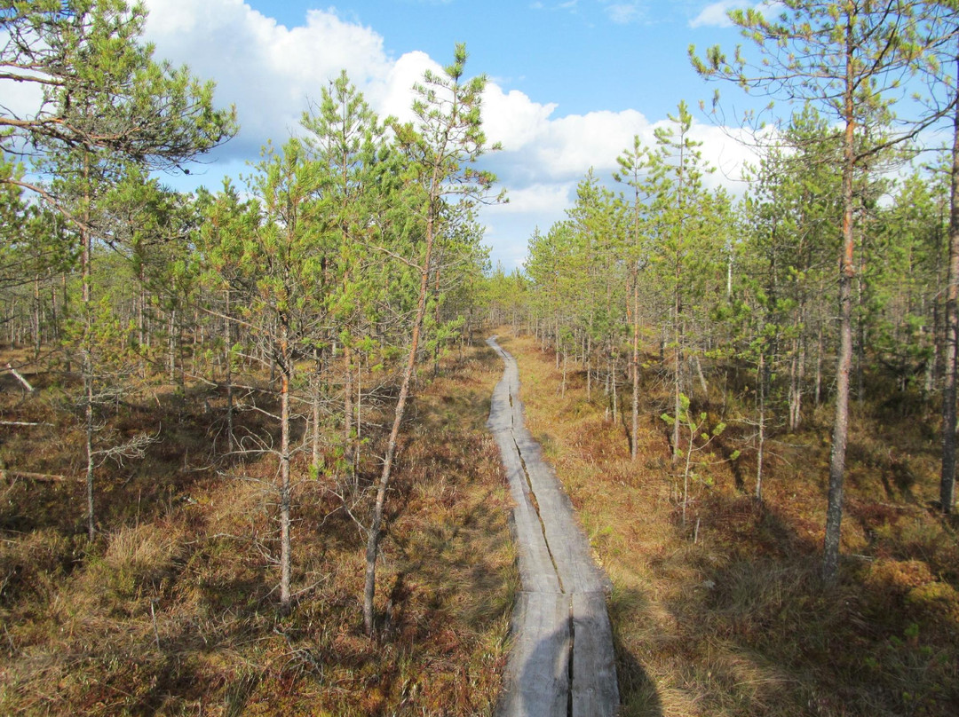 Luhasoo Nature Trail-Rouge必去景点