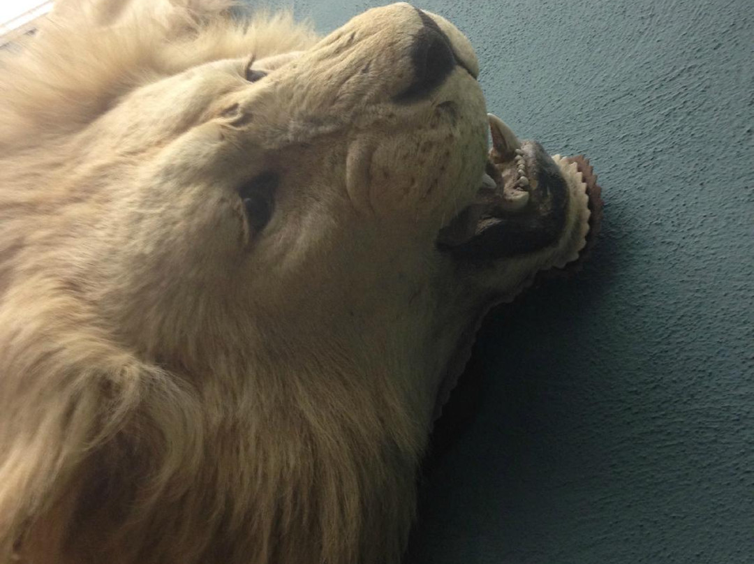 Martin and Osa Johnson Safari Museum-Chanute必去景点