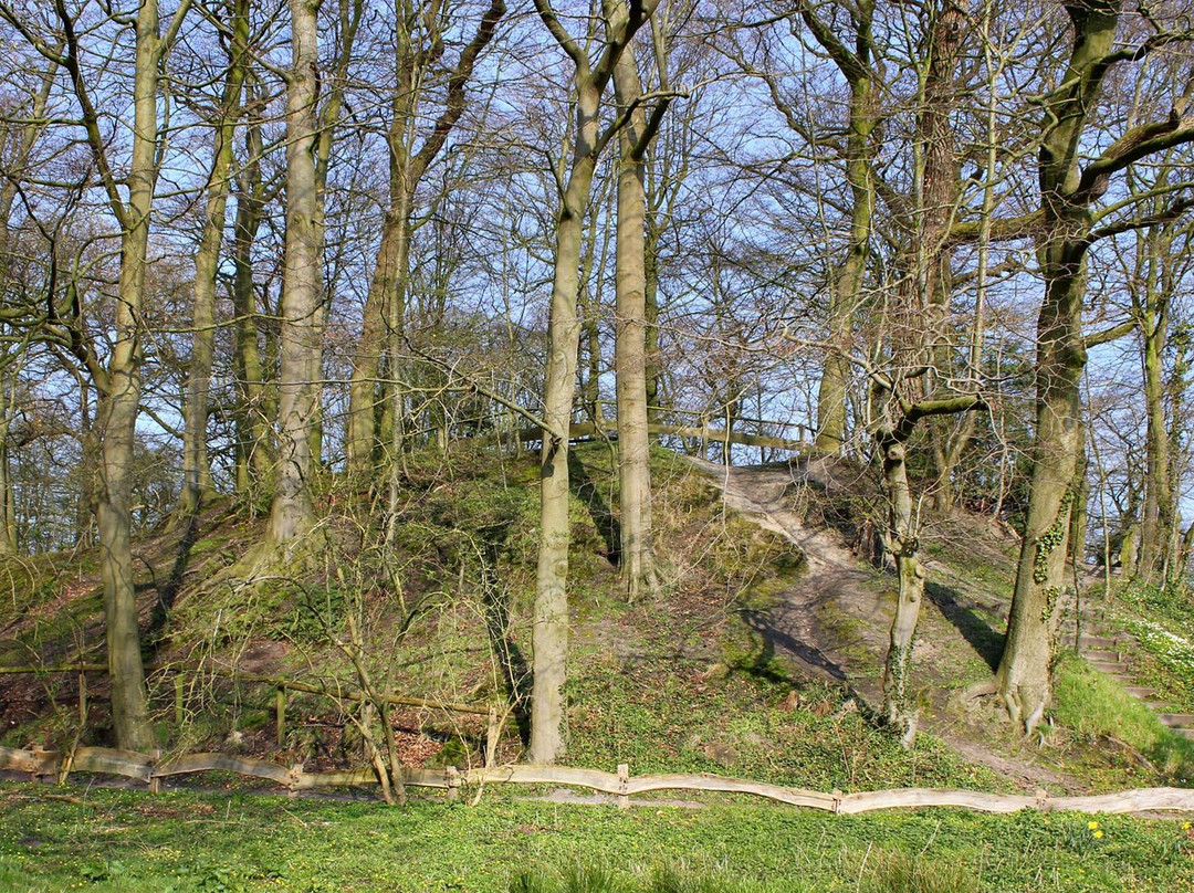Elmendorf Burg景点图片