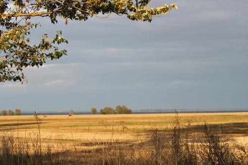 Hotel Seeblick主图