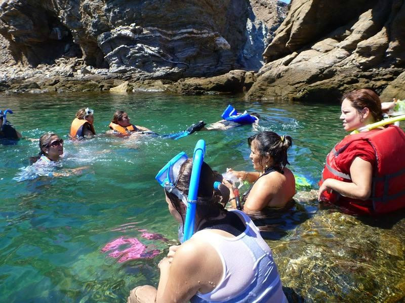 Ricardo's Diving Tours景点图片
