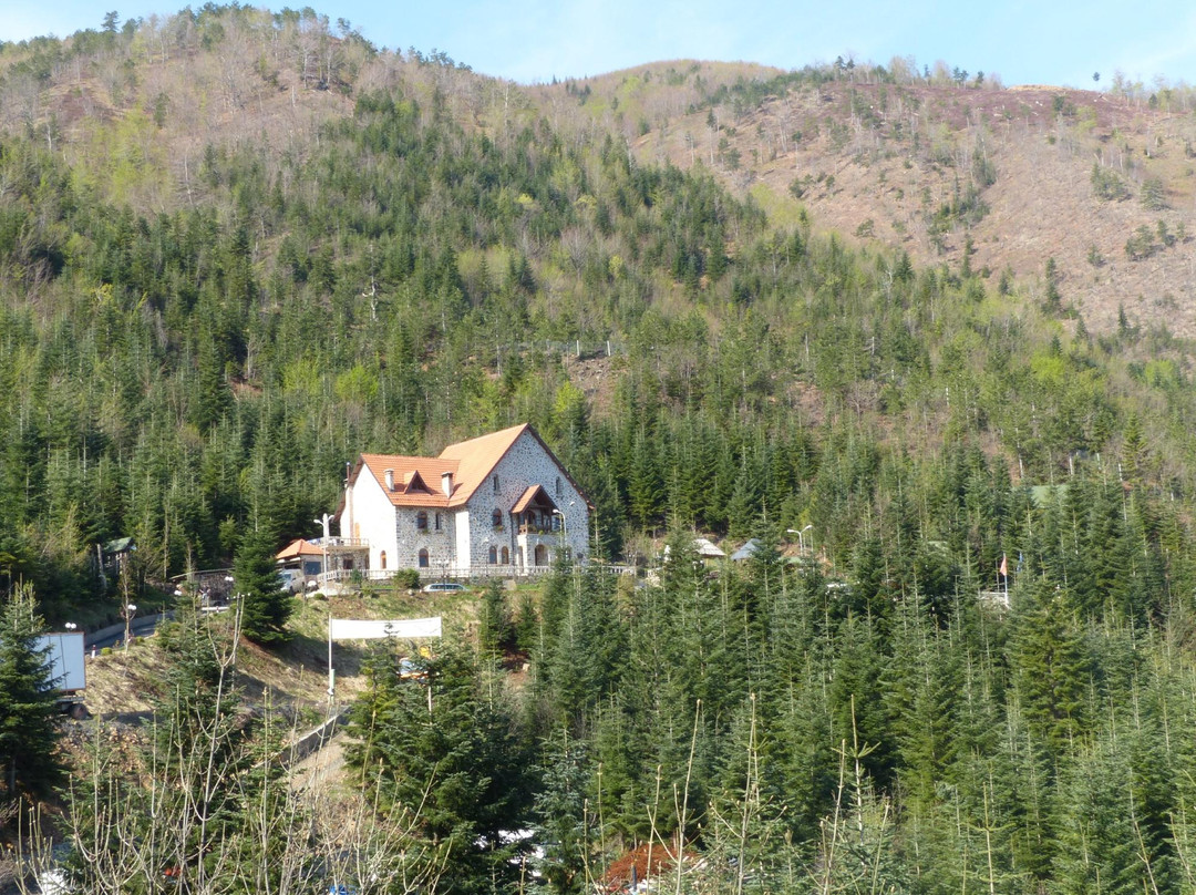 Dardhe旅游攻略图片